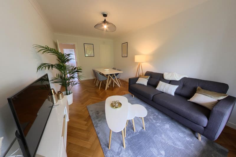 Spacious 2-Bedroom Furnished Apartment with Balcony and River Views in Geneva (5)