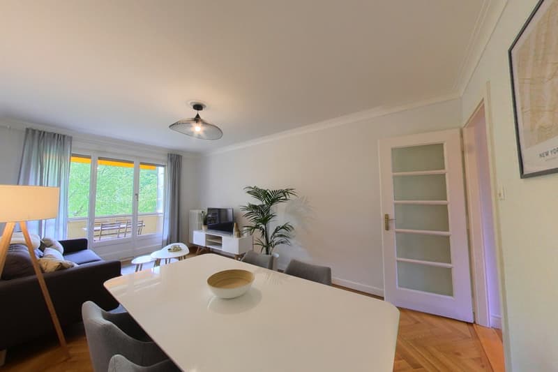Spacious 2-Bedroom Furnished Apartment with Balcony and River Views in Geneva (3)
