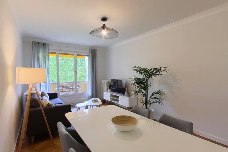 Appartement meublé 85 m2 au centre de Genève (2)