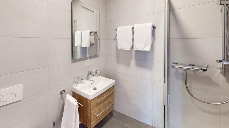 Furnished 2-Bed with balcony and parking in Nyon/Appartement 2 chambres avec balcon et parking Nyon (9)