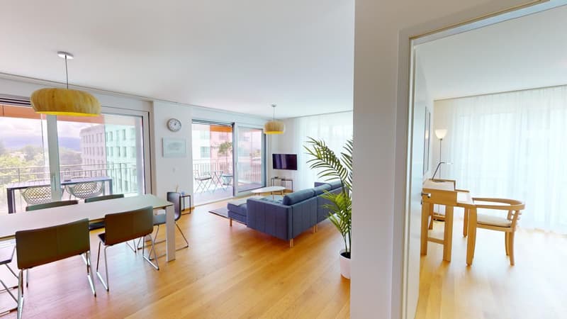 Furnished 2-Bed with balcony and parking in Nyon/Appartement 2 chambres avec balcon et parking Nyon (3)