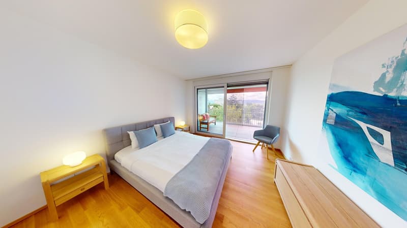 Furnished 2-Bed with balcony and parking in Nyon/Appartement 2 chambres avec balcon et parking Nyon (7)