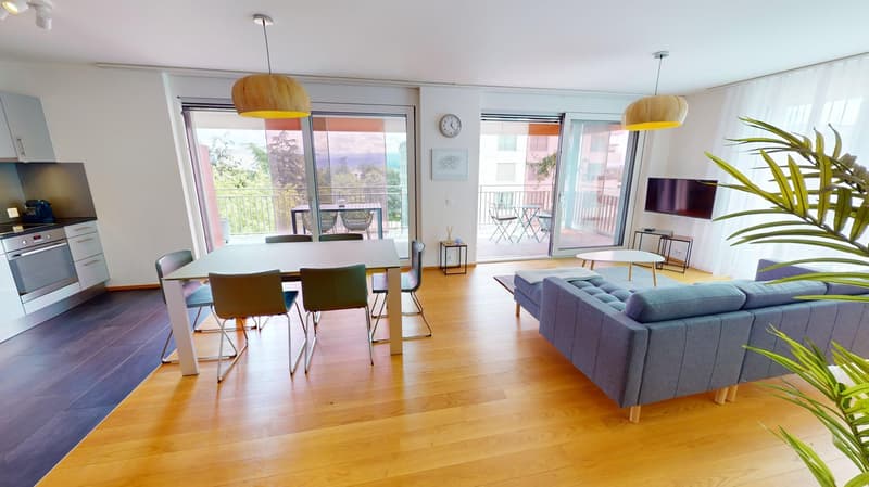 Furnished 2-Bed with balcony and parking in Nyon/Appartement 2 chambres avec balcon et parking Nyon (4)