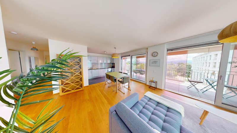 Furnished 2-Bed with balcony and parking in Nyon/Appartement 2 chambres avec balcon et parking Nyon (6)
