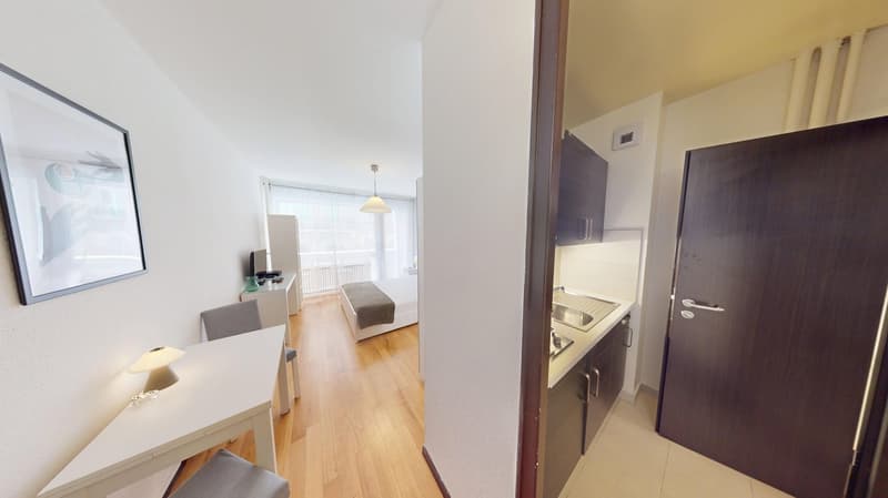 Appartamento studio ben posizionato nel distretto di Plainpalais a Ginevra (4)