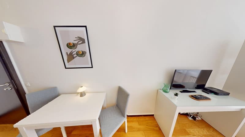Appartamento studio ben posizionato nel distretto di Plainpalais a Ginevra (7)