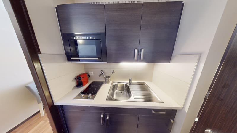 Appartamento studio ben posizionato nel distretto di Plainpalais a Ginevra (8)