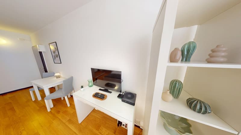 Appartamento studio ben posizionato nel distretto di Plainpalais a Ginevra (6)
