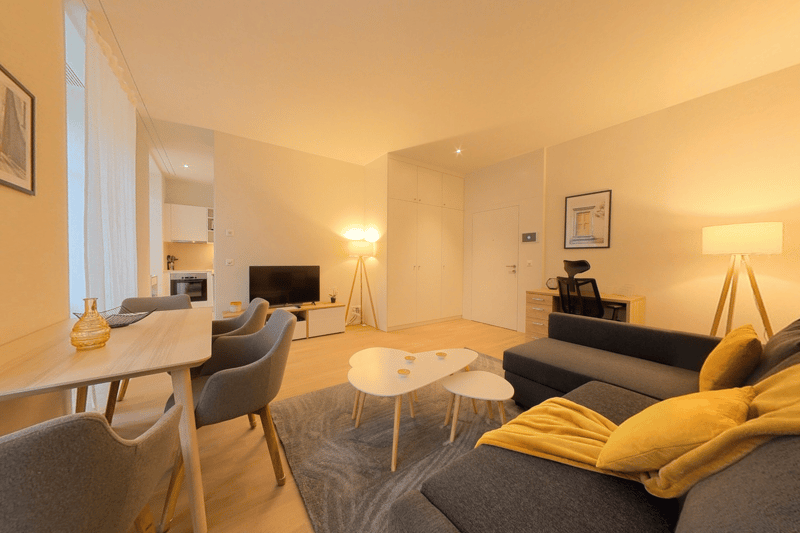 Grand et confortable appartement 1 pièce meublé centre-ville avec utilités incluses (2)