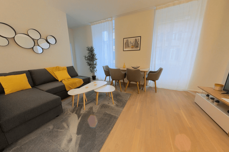 Grand et confortable appartement 1 pièce meublé centre-ville avec utilités incluses (3)