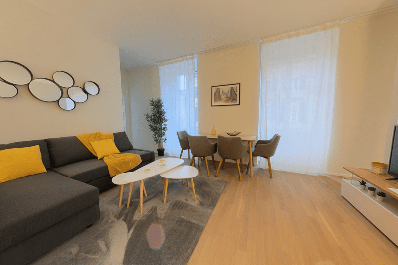 Grand et confortable appartement 1 pièce meublé centre-ville avec utilités incluses (9)