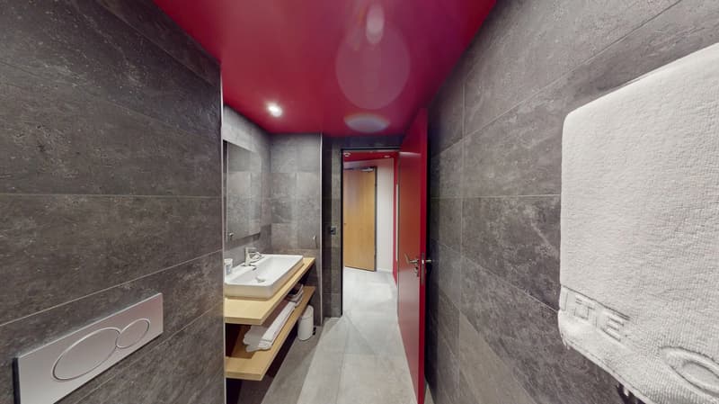 Studio arredato affascinante vicino al Lago di Ginevra (Quartiere di Cornavin) (16)