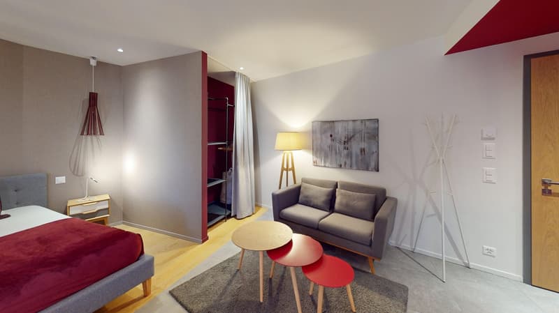 Studio arredato affascinante vicino al Lago di Ginevra (Quartiere di Cornavin) (20)
