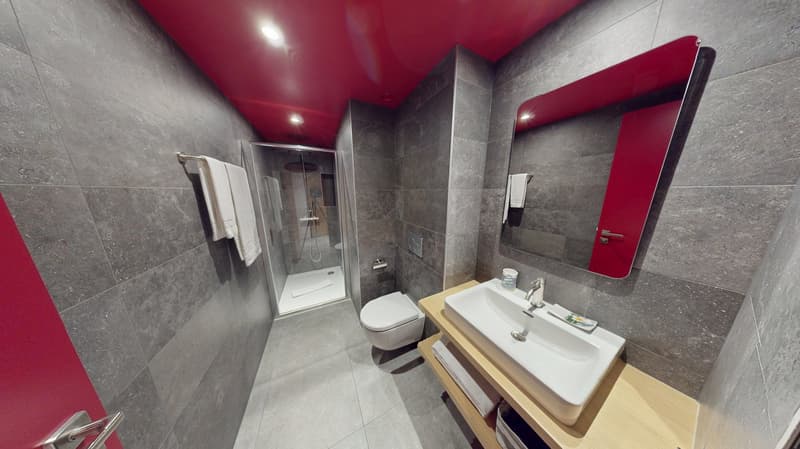 Studio arredato affascinante vicino al Lago di Ginevra (Quartiere di Cornavin) (14)