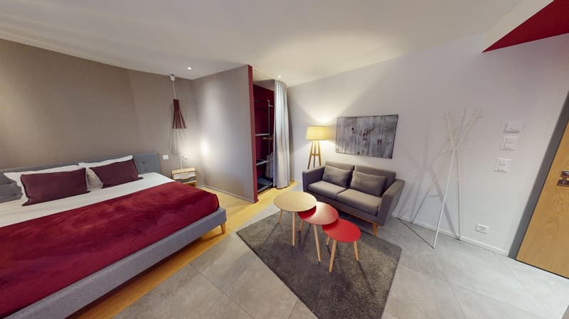 Studio arredato affascinante vicino al Lago di Ginevra (Quartiere di Cornavin) (8)