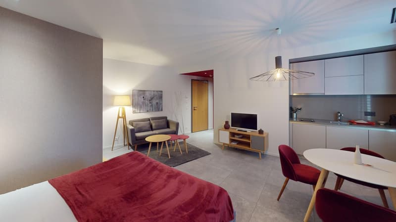 Studio arredato affascinante vicino al Lago di Ginevra (Quartiere di Cornavin) (19)