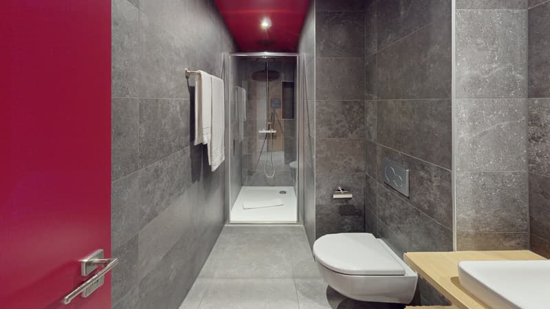 Studio arredato affascinante vicino al Lago di Ginevra (Quartiere di Cornavin) (18)