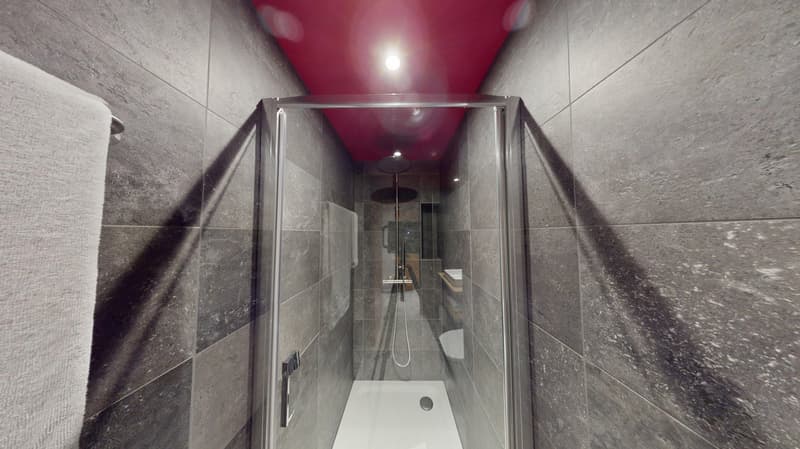 Studio arredato affascinante vicino al Lago di Ginevra (Quartiere di Cornavin) (15)