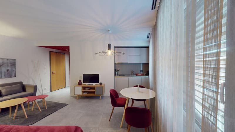 Studio arredato affascinante vicino al Lago di Ginevra (Quartiere di Cornavin) (3)