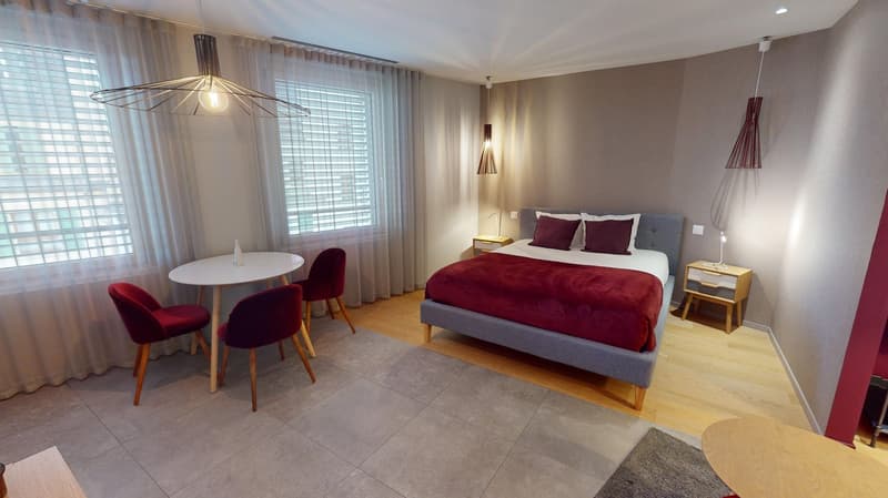 Studio arredato affascinante vicino al Lago di Ginevra (Quartiere di Cornavin) (17)