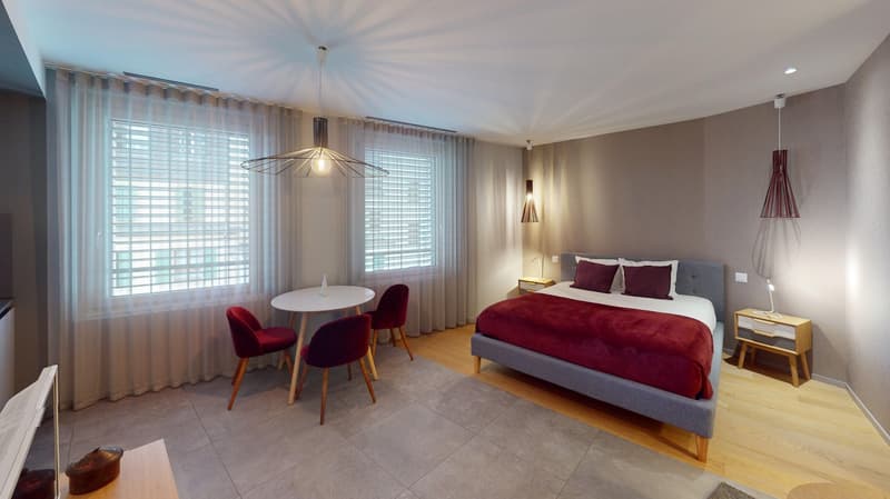 Studio arredato affascinante vicino al Lago di Ginevra (Quartiere di Cornavin) (2)
