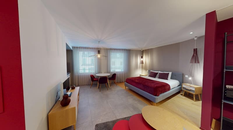 Studio arredato affascinante vicino al Lago di Ginevra (Quartiere di Cornavin) (4)