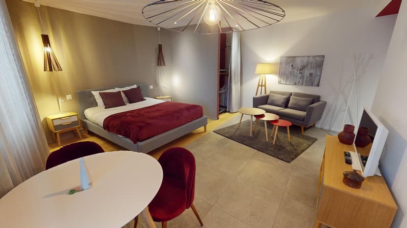 Studio arredato affascinante vicino al Lago di Ginevra (Quartiere di Cornavin) (6)