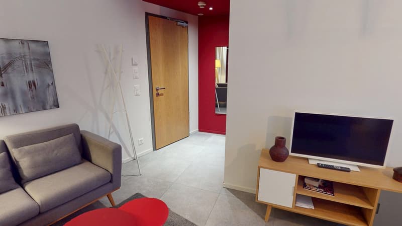 Studio arredato affascinante vicino al Lago di Ginevra (Quartiere di Cornavin) (12)