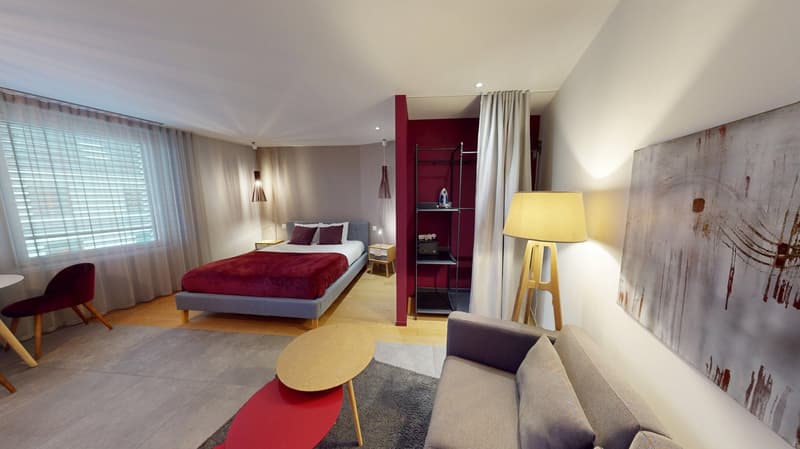 Studio arredato affascinante vicino al Lago di Ginevra (Quartiere di Cornavin) (9)