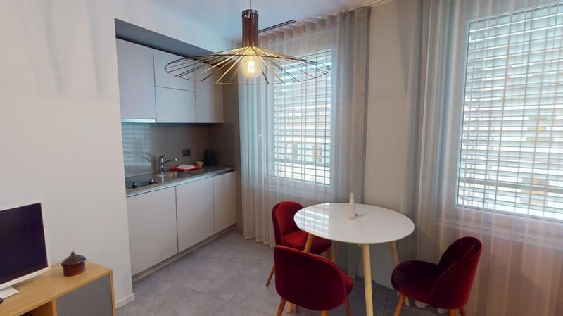 Studio arredato affascinante vicino al Lago di Ginevra (Quartiere di Cornavin) (11)
