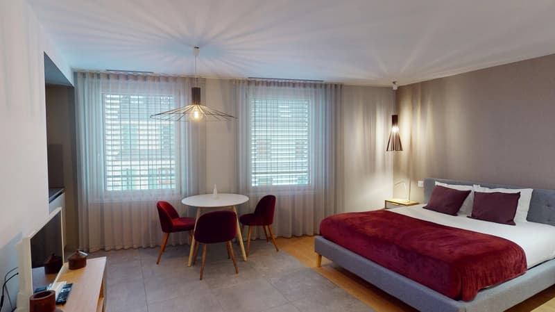 Studio arredato affascinante vicino al Lago di Ginevra (Quartiere di Cornavin) (10)