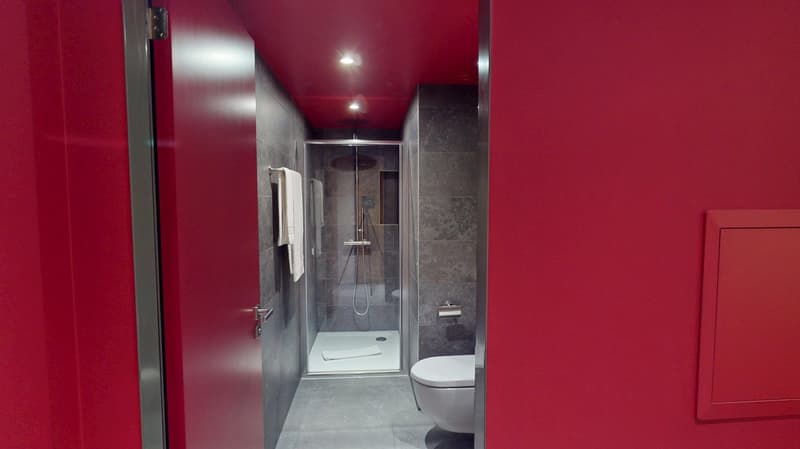 Studio arredato affascinante vicino al Lago di Ginevra (Quartiere di Cornavin) (13)