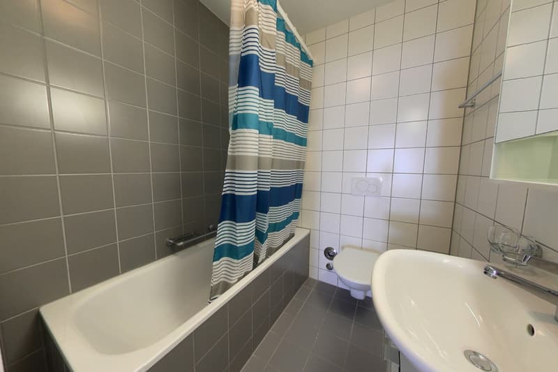 Moderne et lumineux 4.5 pièces avec loggia (8)