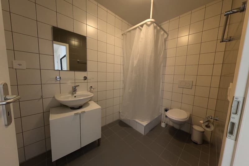 Moderne et lumineux 4.5 pièces avec loggia (7)