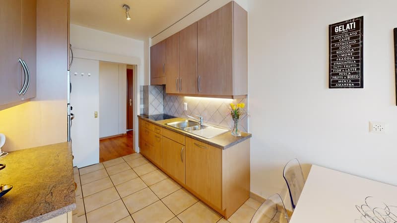 Appartement spacieux 2 chambres, 2 salles de bain avec parking, balcon et vue sur le lac ! (20)