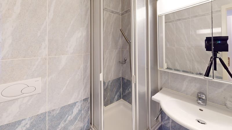 Appartement spacieux 2 chambres, 2 salles de bain avec parking, balcon et vue sur le lac ! (15)