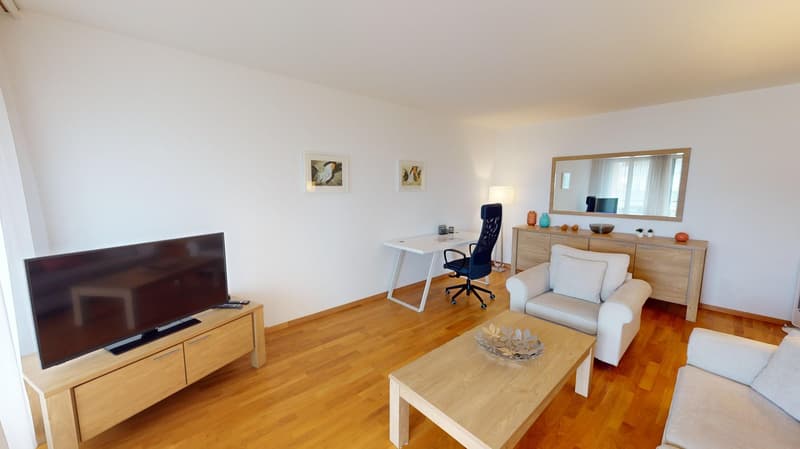 Appartement spacieux 2 chambres, 2 salles de bain avec parking, balcon et vue sur le lac ! (1)