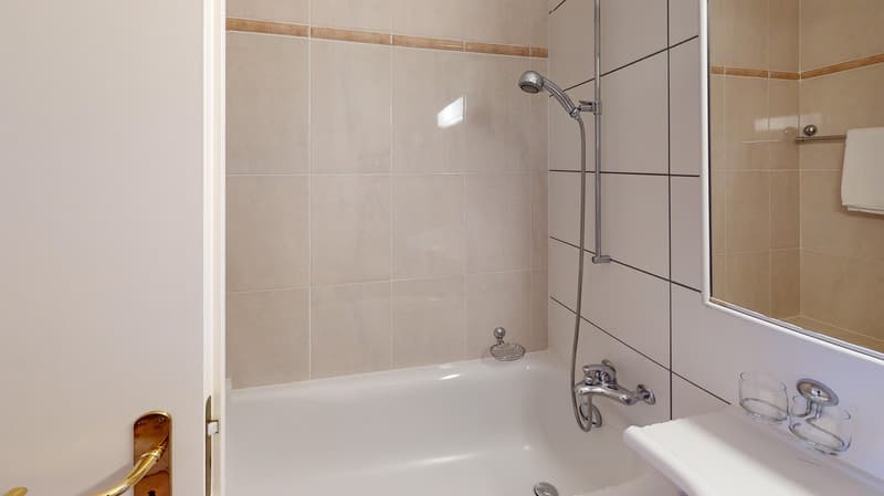 Appartement spacieux 2 chambres, 2 salles de bain avec parking, balcon et vue sur le lac ! (11)