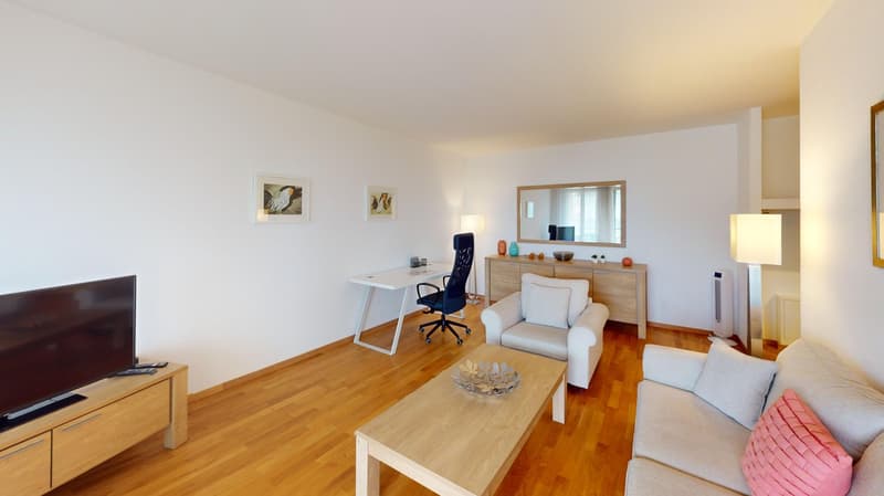 Appartement spacieux 2 chambres, 2 salles de bain avec parking, balcon et vue sur le lac ! (8)