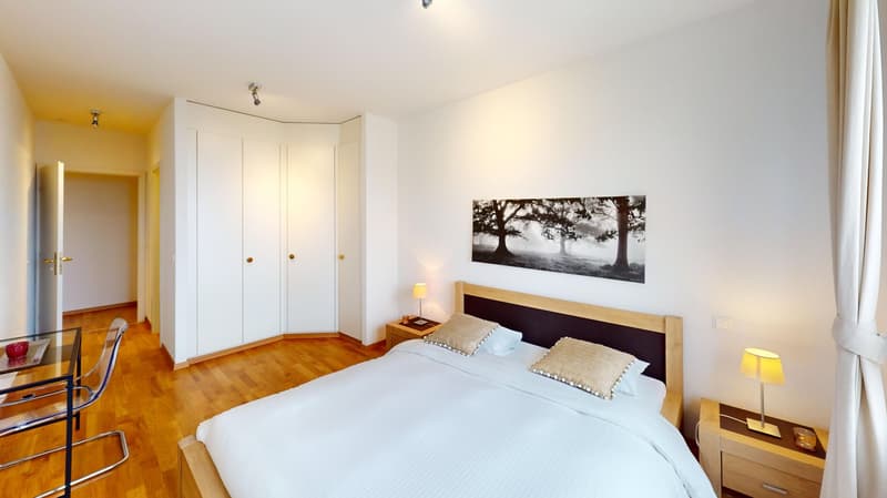 Appartement spacieux 2 chambres, 2 salles de bain avec parking, balcon et vue sur le lac ! (19)