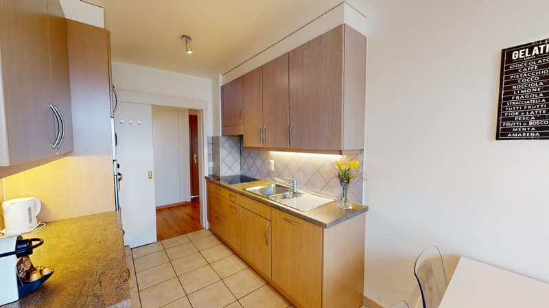 Appartement spacieux 2 chambres, 2 salles de bain avec parking, balcon et vue sur le lac ! (7)