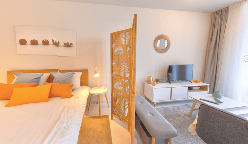 Furnished Premium studio with parking space available - Nyon (2)