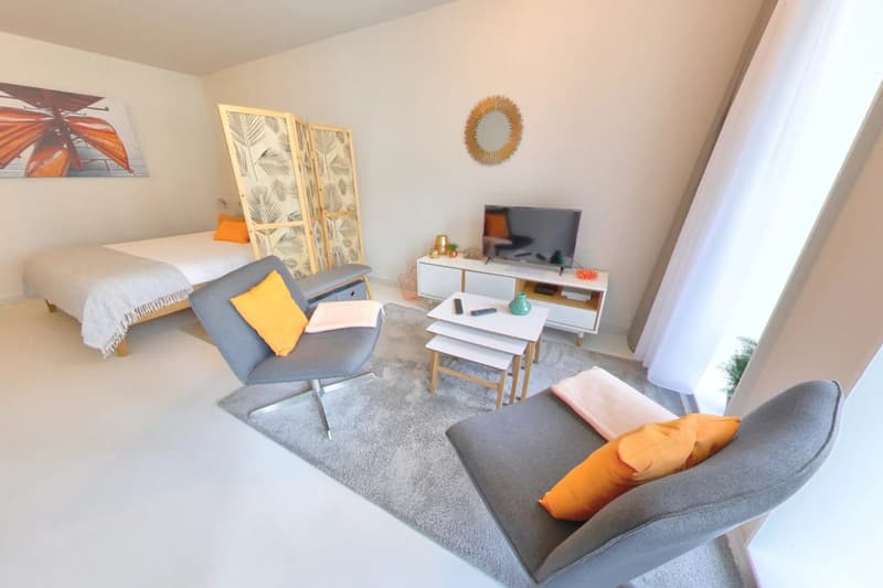 Furnished Premium studio with parking space available - Nyon (1)