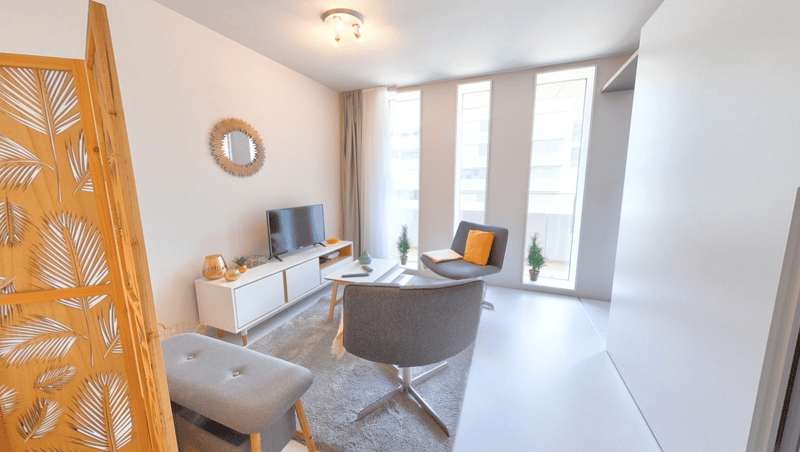 Furnished Premium studio with parking space available - Nyon (3)