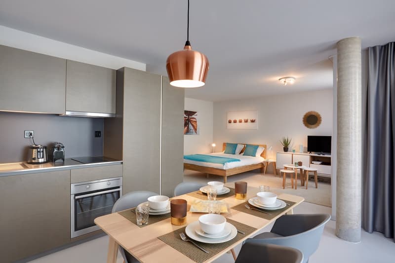 Studio meublé Deluxe/Furnished Deluxe studio in Nyon (7)