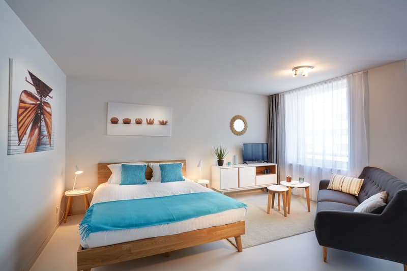 Studio meublé Deluxe/Furnished Deluxe studio in Nyon (1)