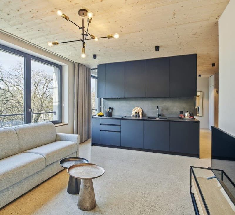 Sustainable Living | Modern 1-Bed Apartment in Lucerne (3)