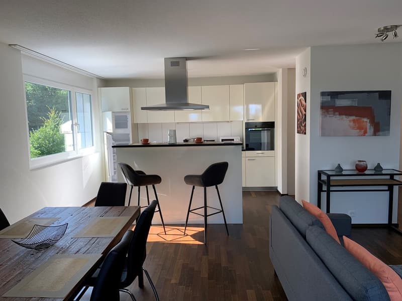 Appartement meublé 4.5p à 3 minutes du lac (1)