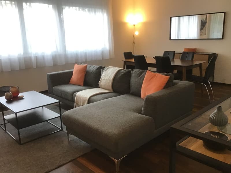 Appartement meublé 4.5p à 3 minutes du lac (2)