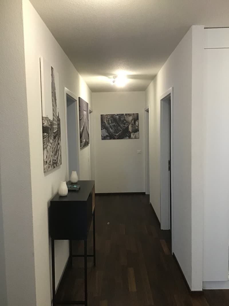 Appartement meublé 4.5p à 3 minutes du lac (8)
